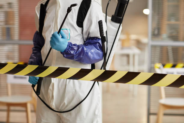 Professional Sewage Cleanup technician working in Sheldon, IL
